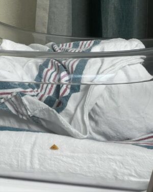Iliza Shlesinger Instagram - Postpartum done right. I didn’t stop eating from the moment I had him until we left the hospital. ➡️ swipe to the end to see the @haveacornchips I accidentally dropped into his bassinet as I stood over him power eating and staring at my sweet little boy. It got wedged between the plastic and the mattress 🤷‍♀️ Hope he likes salty corn milk! 🧂 🌽 🥛
💦 the @yeti I just realized was there but YETI deserves a shoutout because the good ice they gave me at the hospital stayed AS ICE even after I got home. Best part is I’ve had it for years and it doesn’t give me lead poisoning. Bring it to your next delivery!