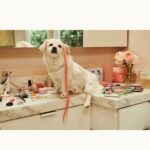 Iliza Shlesinger Instagram - 📀 4.9.24📀