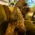 Iman Instagram - Cute with a touch of side eye! #LifeWithMars