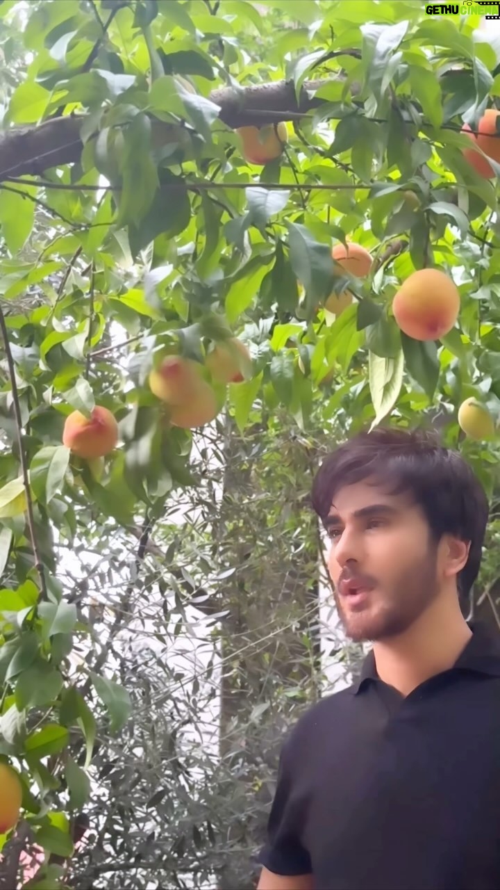 Imran Abbas Instagram - Lets pick some peaches before leaving Islamabad..