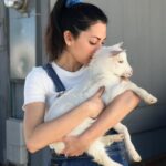 Inbar Lavi Instagram - This is coco. That is all.