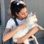 Inbar Lavi Instagram – This is coco. That is all.
