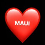 India.Arie Instagram – speechless.  Ive burst into tears so many times.  My thoughts are with you.  To my friends in Hawaii – DM if i can support in any way. This land has healed me of so MANY THINGS , so MANY many  times. I pray for your resilience. But first just holding space for your grief.