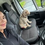 India Reynolds Instagram - Week in pictures 🤍