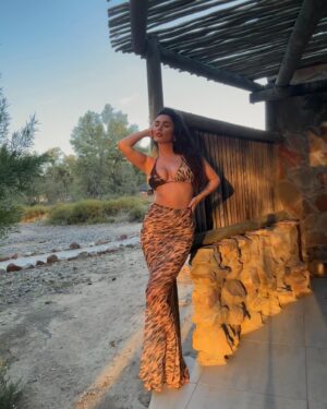 India Reynolds Instagram - Golden hour but make it safari @haloure___ 🌅