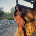 India Reynolds Instagram - Golden hour but make it safari @haloure___ 🌅