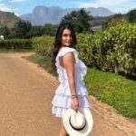 India Reynolds Instagram – Absolutely frilled with wine tram life 🤍