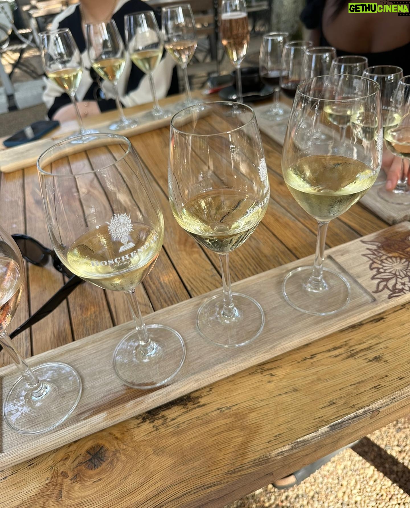 India Reynolds Instagram - This is your sign to go wine tasting… not like you needed one but hey👀🍷🥂☺️