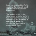 Indya Moore Instagram - 🚨 ISRAEL HAS BLOCKED THE RAFAH CROSSING - ACT NOW 🚨 Israel has initiated a deadly ground invasion into Rafah, resulting in the loss of hundreds of lives, including men, women, and children. Many leaders considered a Rafah incursion to be a “RED LINE” that Israel must not cross, why are they silent? After issuing evacuation orders for Rafah, many Palestinians fled to Nuseirat camp, which has subsequently been shelled by Israeli military - hitting children. Israel has also besieged the Rafah crossing, the sole exit point for two million people in Gaza. The spokesperson for the Gaza border crossing authority has described how Israel has “sentenced the residents of the Strip to death” by shutting the Rafah border crossing with Egypt. This is a deliberate act by Israel to stop all aid into the strip, once again irrefutably proving their desire to starve Gaza to death. 👉 EMAIL YOUR ELECTED OFFICIAL NOW! USE THE FREE TEMPLATE IN @humantiproject’s BIO 👈