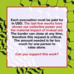 Indya Moore Instagram - WE ARE FUNDRAISING FOR EVACUATIONS FROM GAZA TO CAIRO. Over the past month we have been fundraising to bring aid directly to Palestinians crossing into Egypt. Our organizers are completely autonomous, using their own funds to travel and deliver every dollar being raised. We have met our original goals, but there is still an URGENT need for more funds to pay evacuation fees. As of this week, 6 members of our team have arrived in Egypt and used the funds we’ve raised to register 23 people for evacuation across the border. This method has proven to be successful. We are witnessing the urgency of this need first hand, and are prepared to move more funds for evacuations immediately. This is where you come in. Each evacuation must be paid for in USD. The last few weeks have shown our collective power and the material impact of mutual aid. The border can close at any time, therefore this request is critical. The amount needed is far too much for one person to raise alone. Can you support this work? Zelle: colin.hagendorf@gmail.com (preferred method) Venmo: @Lizzie-Conner PayPal: lizzzie.conner@gmail.com CashApp: $LizzieConner To avoid delays, please do not include any Palestine-related comments or emojis: No flags, watermelons, colors, any version of the word P@lest1ne, etc. Please put the word “gift” or a gift emoji in the comments of your donation. Mutual aid is the foundation of our collective liberation. We need everyone. Together we can all get free.