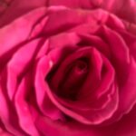 Ingrid Cruz Instagram - Septiembre ! 🌸🌹💕
