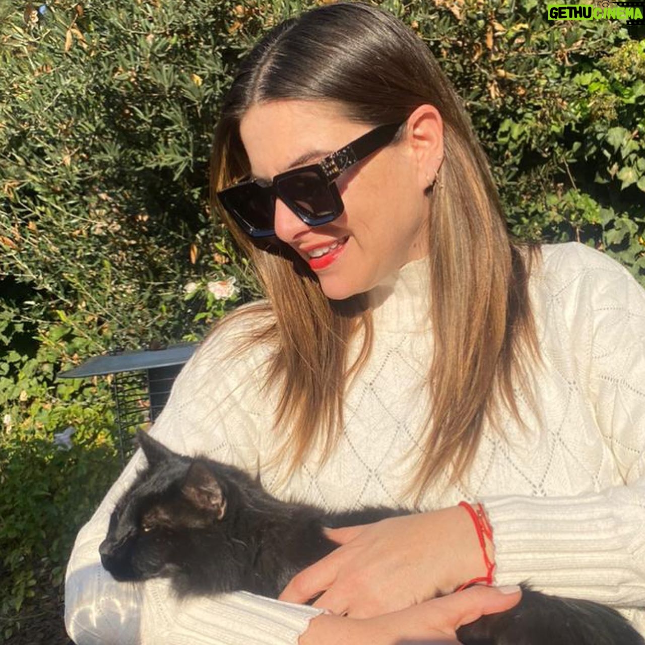 Ingrid Cruz Instagram - Vamos con todo esta semana !!! Arriba de “la nave “ aprovechando cada rayito de sol ! Con todos mis talismanes pa la suerte en el auto Y con un gatito negro hermoso que me abrazo hoy ! Puras buenas señales 🌟 Les mando un beso apretado y que tengamos una semana llena de cosas lindas !!! Va a estar helado en esta parte del mundo así que a abrigarse muuuucho♥️ Pd: I ♥️ @guillermomorales.cl