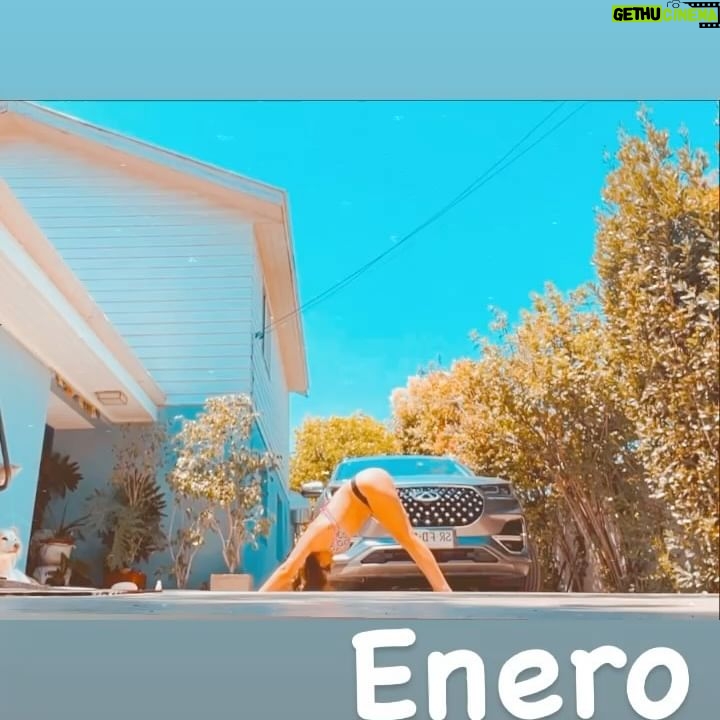Ingrid Cruz Instagram - Enero … Yoga ,mis perros y piscina ♥️👌🏼 Pd:DANILO cumplió 8 años 🎈