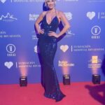 Ingrid Grudke Instagram - Como siempre un honor la Noche de Gala de @fundacionhospitalrivadavia 💙✨ @dradianachugri Gracias @atelierpucheta @puchetag por vestirme tan bella en una noche tan especial ! @megaesquinadelasdivas @litebrush #IngridGrudke #MundoIn #lookdelanoche #galahospitalrivadavia