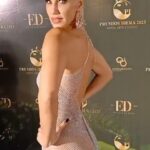 Ingrid Grudke Instagram – Anoche tuve el placer de disfrutar de la primera edición de los @premios_ibera un evento que celebra el trabajo de todas las personas que se distinguen en el arte, moda y diseño de toda la región del NEA.  Para acompañar esta gala vestí un fabuloso vestido de @sanovaroly  #corrientes @corrientes.modaydiseno #premios