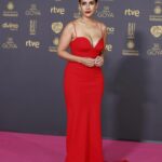 Inma Cuesta Instagram - La 38 edición de los premios Goya fue una noche preciosa de reencuentros, de celebración y de muchas emociones. Enhorabuena a todos los nominand@s y premioad@s!! Viva el cine español! Gracias ❤️ Make Up by @paulasoroa @charlottetilbury Hair by @albaglance x @lorealpro #makeup #charlottetilbury #hair #lorealpro Gracias @josejuan35 @aliciaruedaatelier @valytyplace @messika