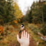 Inma Cuesta Instagram - No conoces el mar, ni el barro, ni los árboles, pero ya eres un bosque por el que pasa un río… . . “ La insistencia del daño” Fernando Valverde