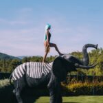 Inna Instagram - My last week home, before Mexico, Canada, USA tour! I'm reposting these images we shot some time ago in Ibiza 🦎