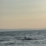 Ipek Karapinar Instagram - Çok zevkliymiş🏄🏻‍♀️