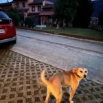 Ipek Karapinar Instagram - Bir Derbent varmış;” benden dışarı çıkma”diye diye,bir yokmuş;içerde keşfettiklerimle🧞‍♀️