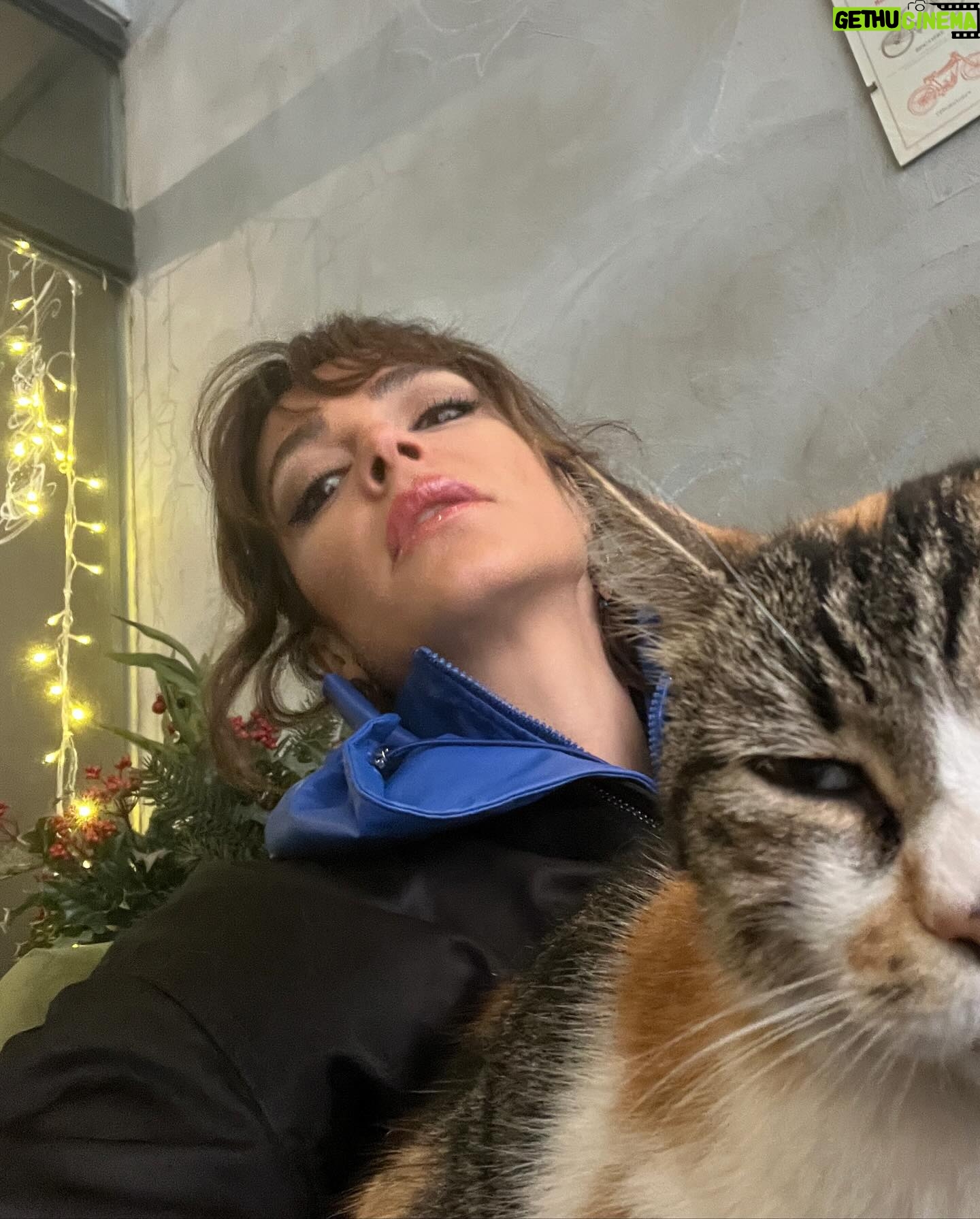 Ipek Karapinar Instagram - Ne kadar güzel his aradıysam bulduğum bir gün oldu🎯