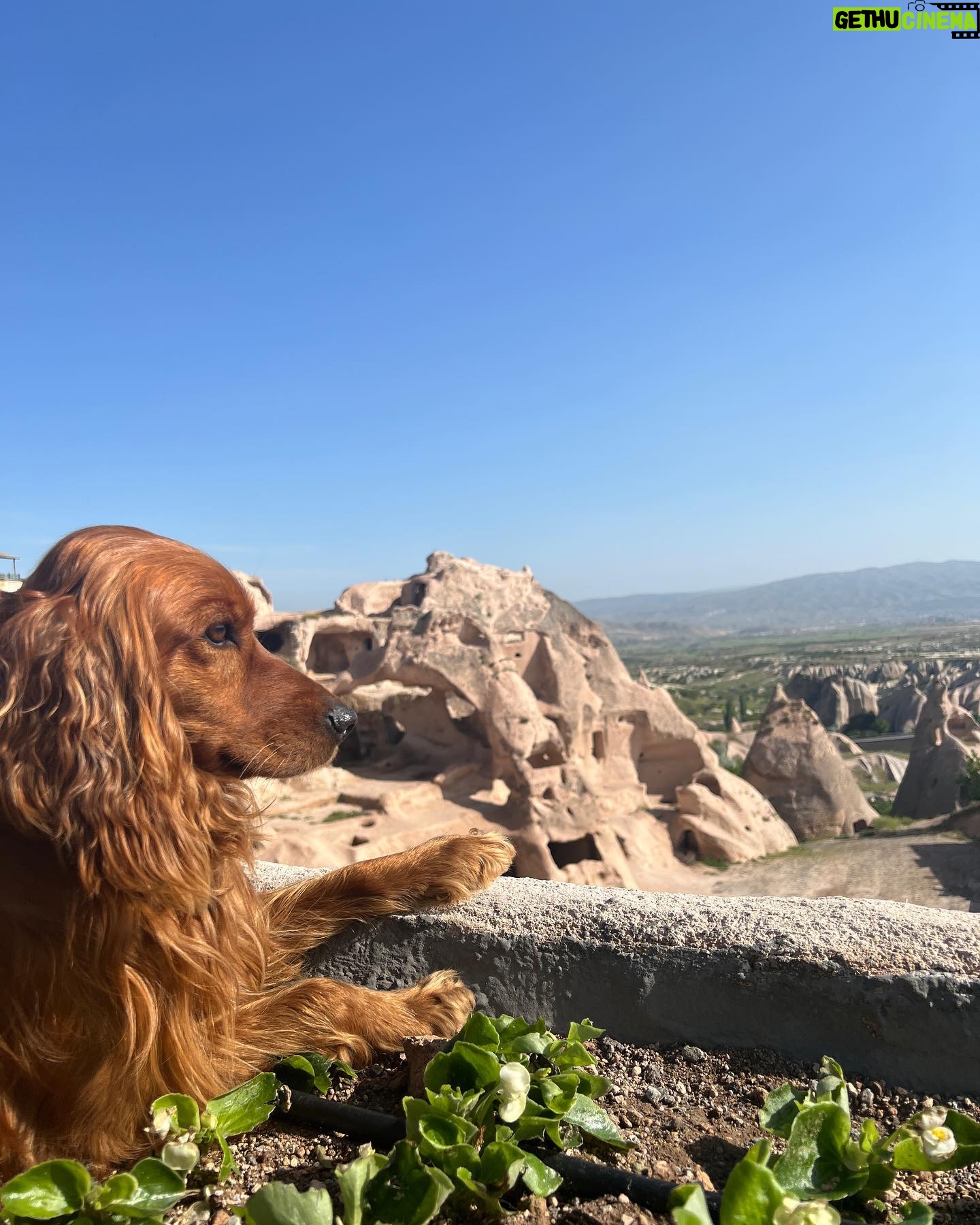 Ipek Karapinar Instagram - @vivelxyz herşey için teşekkürler ♥️Kapadokya ve Erciyes’te gündem bambaşkaydı🎈🪩🪅