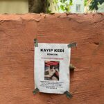 Ipek Karapinar Instagram - Ne kadar güzel his aradıysam bulduğum bir gün oldu🎯