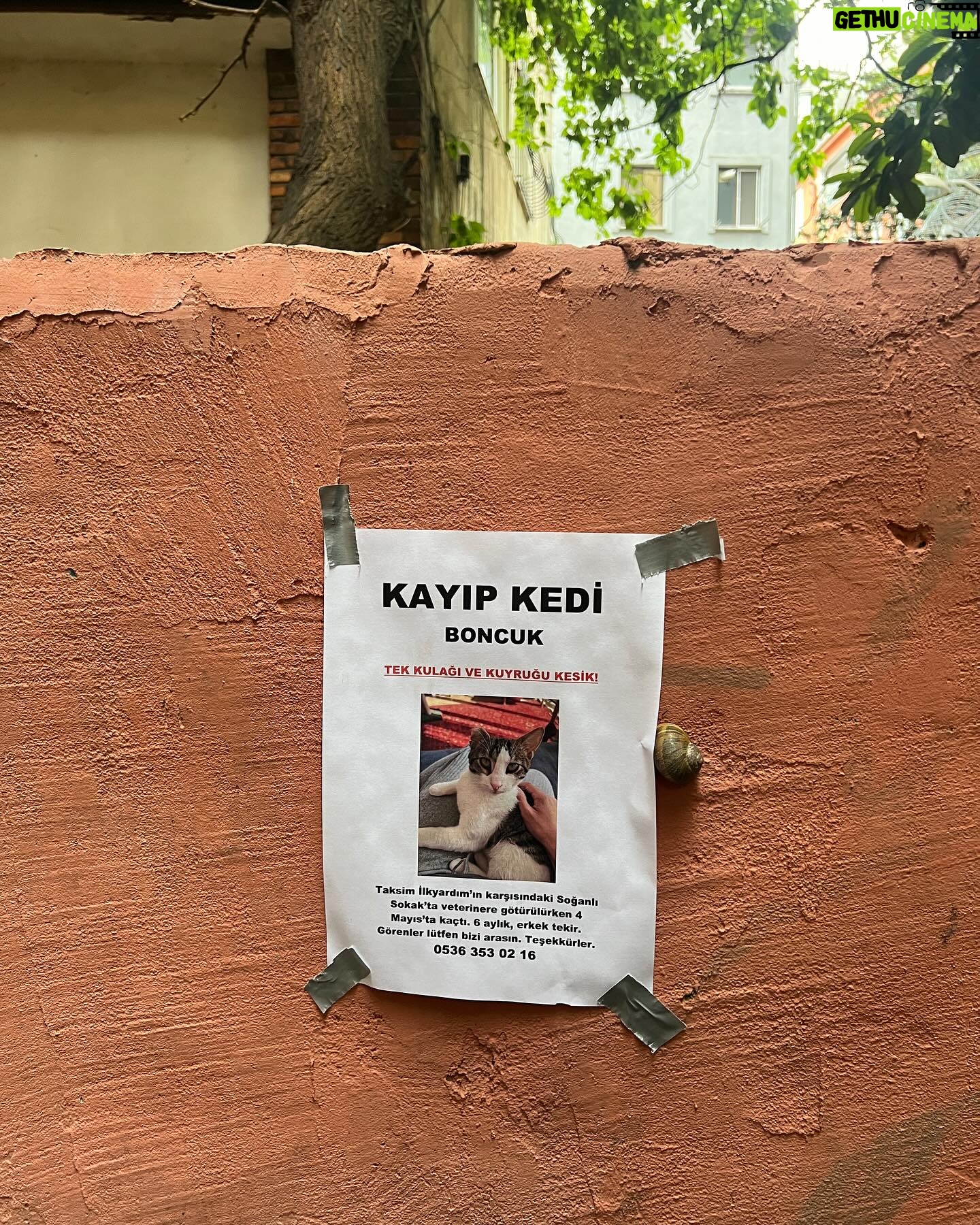 Ipek Karapinar Instagram - Ne kadar güzel his aradıysam bulduğum bir gün oldu🎯
