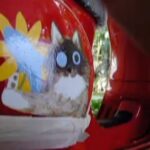 Iqbaal Ramadhan Instagram - Akhirnya ngerasain punya vespa small frame baru.. Lama gak keluar rumah karena siapin album @baale mau ah muter2 selatan Jakarta sebentar bareng sama si Merah. Thank you banyak buat @lun.s yang udah mau gambarin Bolu di vespa oguttt🐱🐟🌻