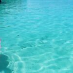 Irina Dubtsova Instagram - Вот так фотографируешься себе и никогда не знаешь, кто попадёт в кадр 🤣🐟🐠Вот такие они #моимальдивы 🌴💙☀️❤️ #отпуск #семья #хочумогуделаю #мальдивы #maldives #hardrockhotelmaldives А шикарный купальник @vitusavi @vitusing_swim_wear 🤩💙 #love