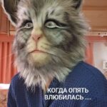 Irina Gorbacheva Instagram - Не переходим на личности, просто я кошка...женщина кошка))