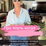 Irina Khakamada Instagram - Почему есть люди, которые не поддаются обучению ? P.s. Кто давно со мной, помните видео про путь кота ? :)