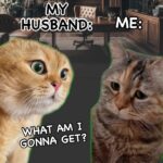 Irina Voronina Instagram - The actual footage of last weeks conversation 🫨🎁 #marriedlife #christmas