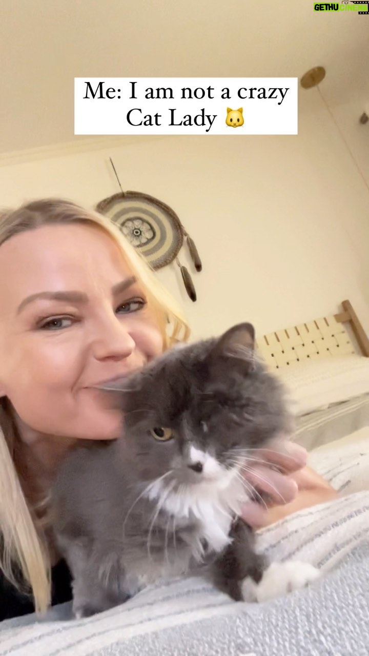 Irina Voronina Instagram - They are always right 😹 #catlady #catsofinstagram