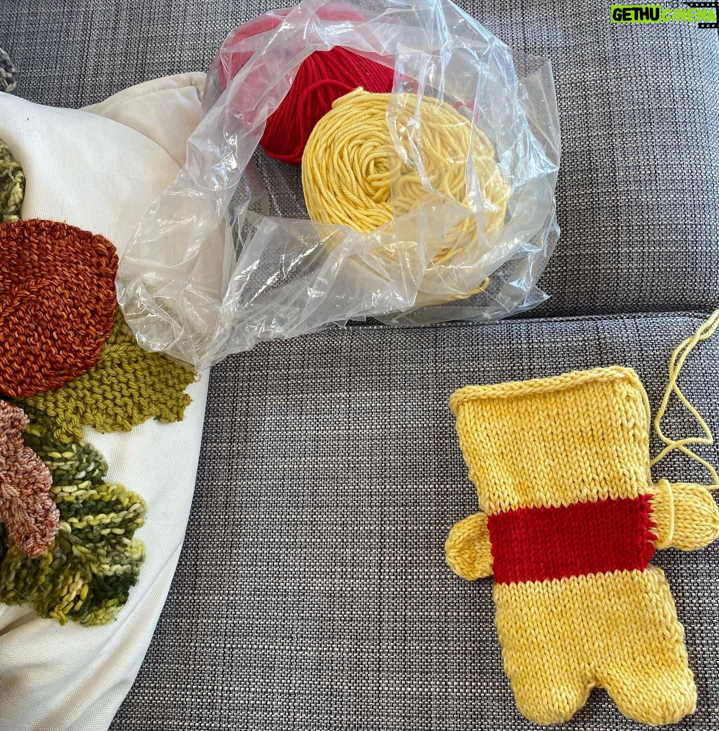 Iris Apatow Instagram - My little Winnie the Pooh bear that I made using the mother bear project pattern! 🤩(Amazing organization everyone should check out) Super proud of this 💛🧸 the pattern is available online <3