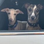 Isabeau Delatour Instagram - Ces derniers jours étaient trop chouette
