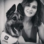 Isabel Díaz Ayuso Instagram - Héroes de 4 Patas cuida a perros policía hasta que consiguen irse a vivir con una familia que les quiera, tras una vida de trabajo. Su calendario solidario 2024 estará pronto en www.adoptaunjubilado.org