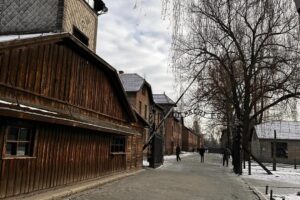 Isabel Díaz Ayuso Instagram - Más de 1.100.000 personas murieron en Auschwitz. Su “delito” era ser homosexuales, gitanos, tener alguna discapacidad, ser prisioneros políticos… El 90%, judíos.

No hace tanto ni tan lejos se cometieron los más graves delitos contra la humanidad.

No olvidar para no repetir.