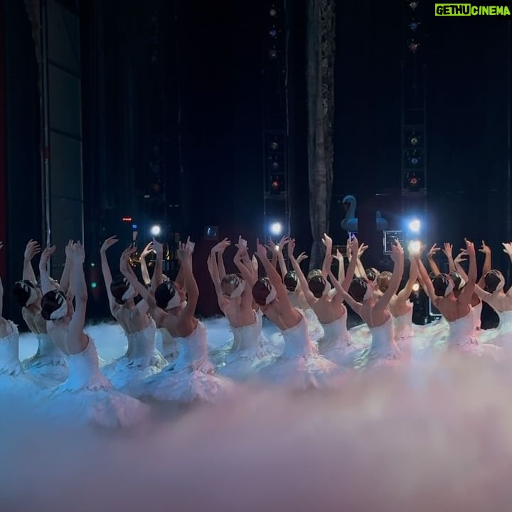Isabella Boylston Instagram - Swan Lake week 🦢 💙