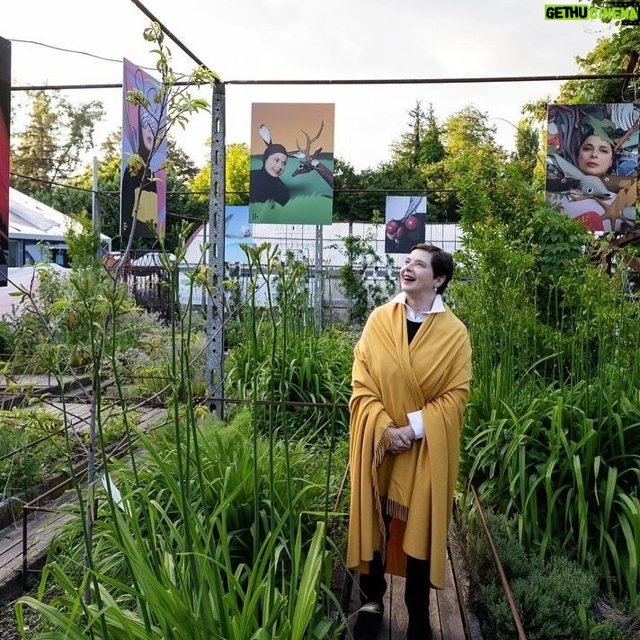 Isabella Rossellini Instagram - Alcune foto della serata di ieri a @leserredeigiardini con Isabella Rossellini che assieme a Mia Canestrini ha presentato i suoi cortometraggi GREEN PORNO, MAMMAS e SEDUCE ME.