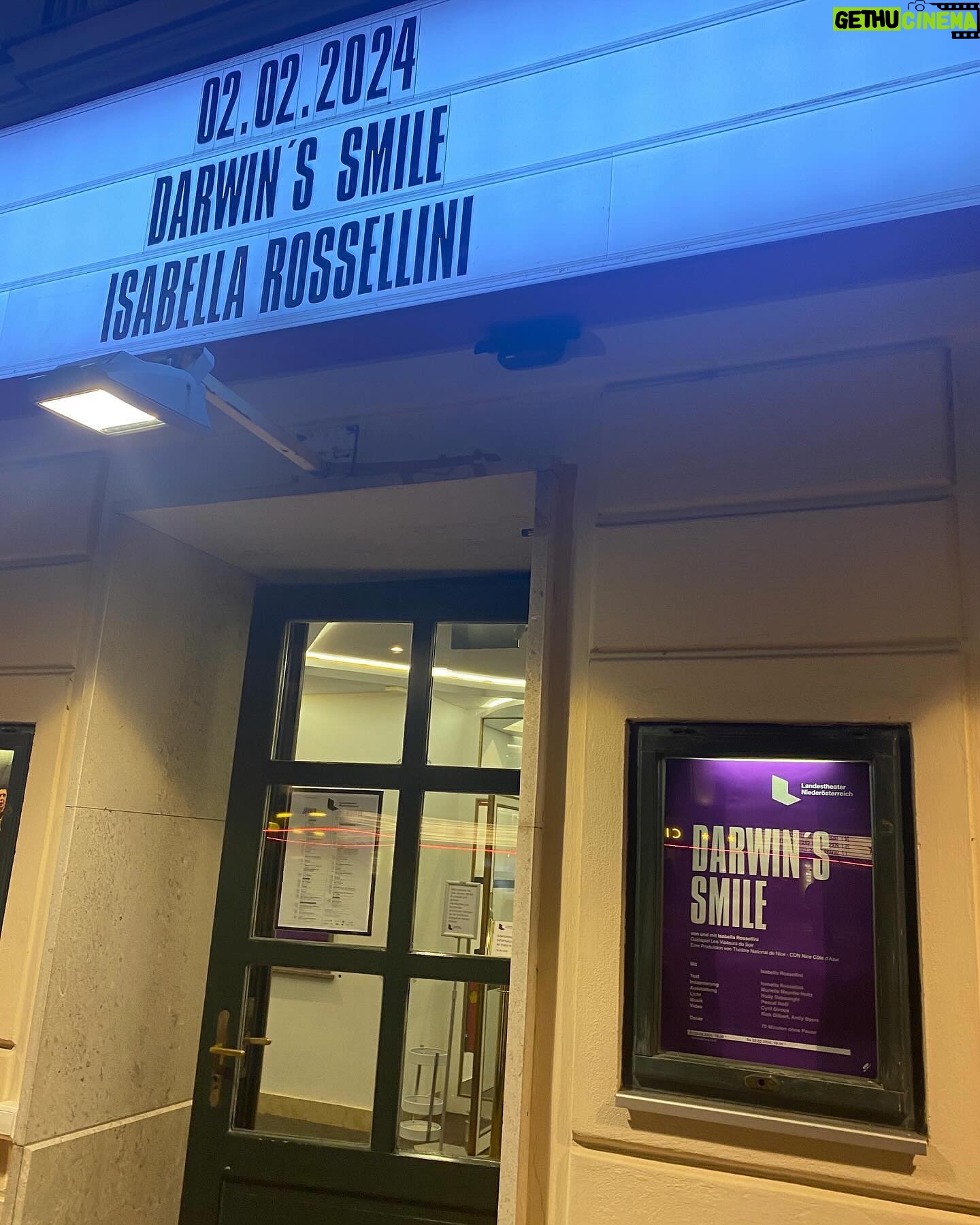 Isabella Rossellini Instagram - Standing Ovations! Legendär, großartig, unterhaltsam, weise und bezaubernd! Ein Abend mit großer Leichtigkeit, hintergründigem Witz und tröstlichen Einsichten in unsere wunderbare Welt, mit einer Bandbreite von der Evolution bis zur Schauspielkunst getragen von großer Empathie! Mit Understatement und selbstironischem Ton demonstriert Isabella Rossellini, wie die Schauspielerei dazu beitragen kann, sich der mysteriösen Natur der Emotionen von Tieren anzunähern, um sie und letztendlich uns selbst zu verstehen. Mit Humor und einfachen, unverbrauchten Mitteln spielt sie auf der Bühne Hunde, Katzen, Hühner, Pfaue und natürlich nicht zuletzt Charles Darwin selbst: „Darwin’s Smile“ und spiegelt dem staunenden Publikum ihre und Darwins Einsichten in unser Miteinander - ein in jeder Hinsicht großer und großartiger Abend! DARWIN’S SMILE Text und Spiel Isabella Rossellini Inszenierung Murielle Mayette-Holtz Ausstattung Rudy Sabounghi Licht Pascal No.l Musik Cyril Giroux Video Andy Byers, Rick Gilbert Produktion Théâtre National de Nice – CDN Nice Côte d’Azur Morgen, Samstag gibt es noch eine Vorstellung mit etwas Glück ergattert man eine zurückgegebene Karte oder ist am Stehplatz mit dabei. #spielplan #vorstellungen #theater #theaterliebe #stpoelten #stpölten #landestheater #landestheaterniederösterreich #kultur #niederösterreich #kunst #sprechtheater #bühnenfotografie #wasistlosinniederösterreich #bühne #theaterstück #stage #isabellarossellini #darwinssmile #natur #tiere #kulturstp2024 #isabellarossellini
