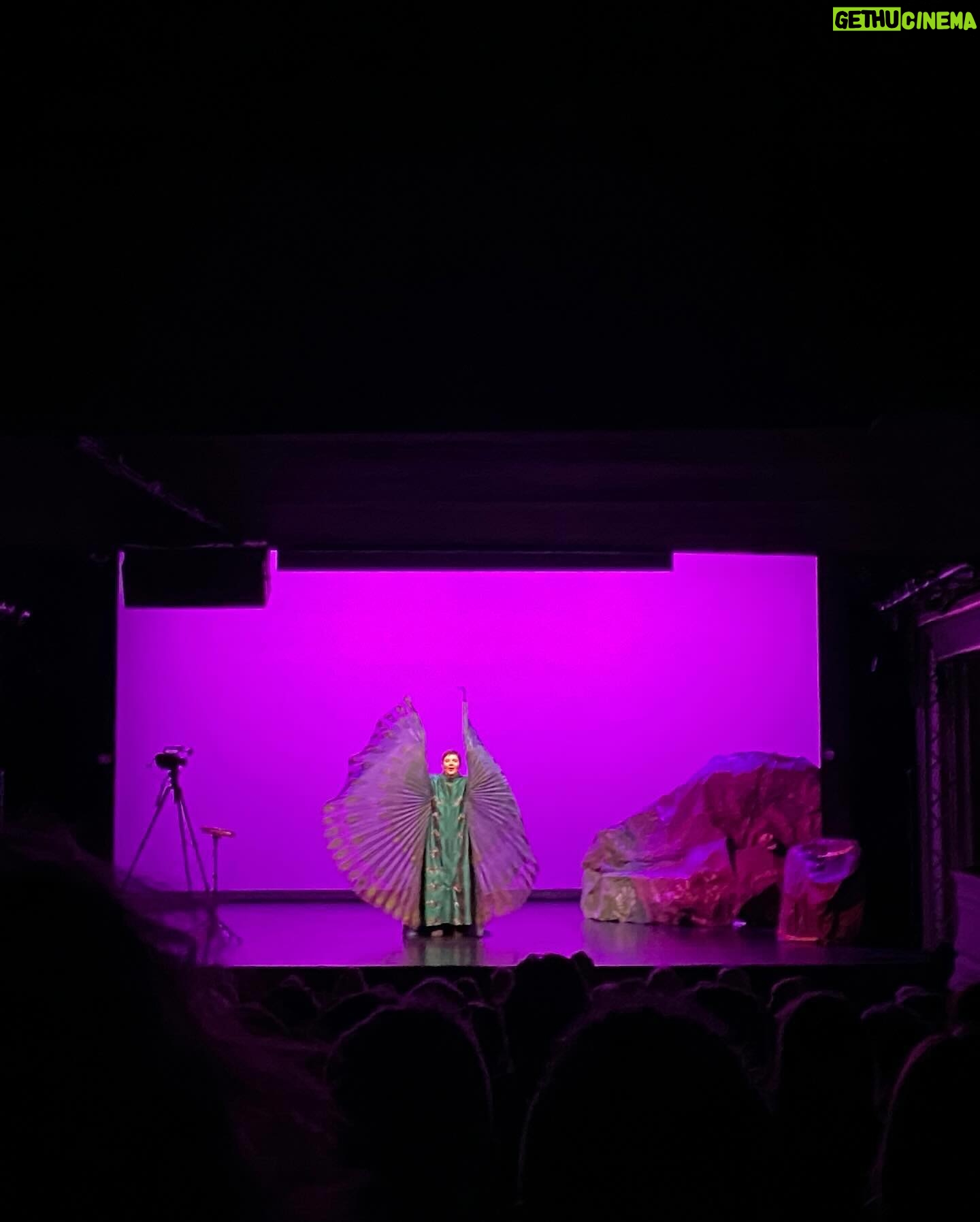 Isabella Rossellini Instagram - Standing Ovations! Legendär, großartig, unterhaltsam, weise und bezaubernd! Ein Abend mit großer Leichtigkeit, hintergründigem Witz und tröstlichen Einsichten in unsere wunderbare Welt, mit einer Bandbreite von der Evolution bis zur Schauspielkunst getragen von großer Empathie! Mit Understatement und selbstironischem Ton demonstriert Isabella Rossellini, wie die Schauspielerei dazu beitragen kann, sich der mysteriösen Natur der Emotionen von Tieren anzunähern, um sie und letztendlich uns selbst zu verstehen. Mit Humor und einfachen, unverbrauchten Mitteln spielt sie auf der Bühne Hunde, Katzen, Hühner, Pfaue und natürlich nicht zuletzt Charles Darwin selbst: „Darwin’s Smile“ und spiegelt dem staunenden Publikum ihre und Darwins Einsichten in unser Miteinander - ein in jeder Hinsicht großer und großartiger Abend! DARWIN’S SMILE Text und Spiel Isabella Rossellini Inszenierung Murielle Mayette-Holtz Ausstattung Rudy Sabounghi Licht Pascal No.l Musik Cyril Giroux Video Andy Byers, Rick Gilbert Produktion Théâtre National de Nice – CDN Nice Côte d’Azur Morgen, Samstag gibt es noch eine Vorstellung mit etwas Glück ergattert man eine zurückgegebene Karte oder ist am Stehplatz mit dabei. #spielplan #vorstellungen #theater #theaterliebe #stpoelten #stpölten #landestheater #landestheaterniederösterreich #kultur #niederösterreich #kunst #sprechtheater #bühnenfotografie #wasistlosinniederösterreich #bühne #theaterstück #stage #isabellarossellini #darwinssmile #natur #tiere #kulturstp2024 #isabellarossellini