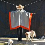 Isabella Rossellini Instagram - I am overwhelmed with gratitude. All ponchos were sold out in less than 12 hours. . Thanks so much for your generosity in supporting Mama Farm Foundation. ♥️❤️♥️❤️on our web side the story of each poncho…. We recently sheared the sheep and will work on more ponchos or blankets as soon as I get the wool back from the mill. @battenkillfibers photos @patricecasanova @mamafarm