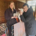 Isabella Rossellini Instagram – Lisa ‘s sheep had 5 lambs @bayhavenshorttails .Lisa keeps her sheep at our farm in the  summer. @mamafarm