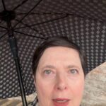 Isabella Rossellini Instagram - Capers grow wild springing out of Rome old walls.