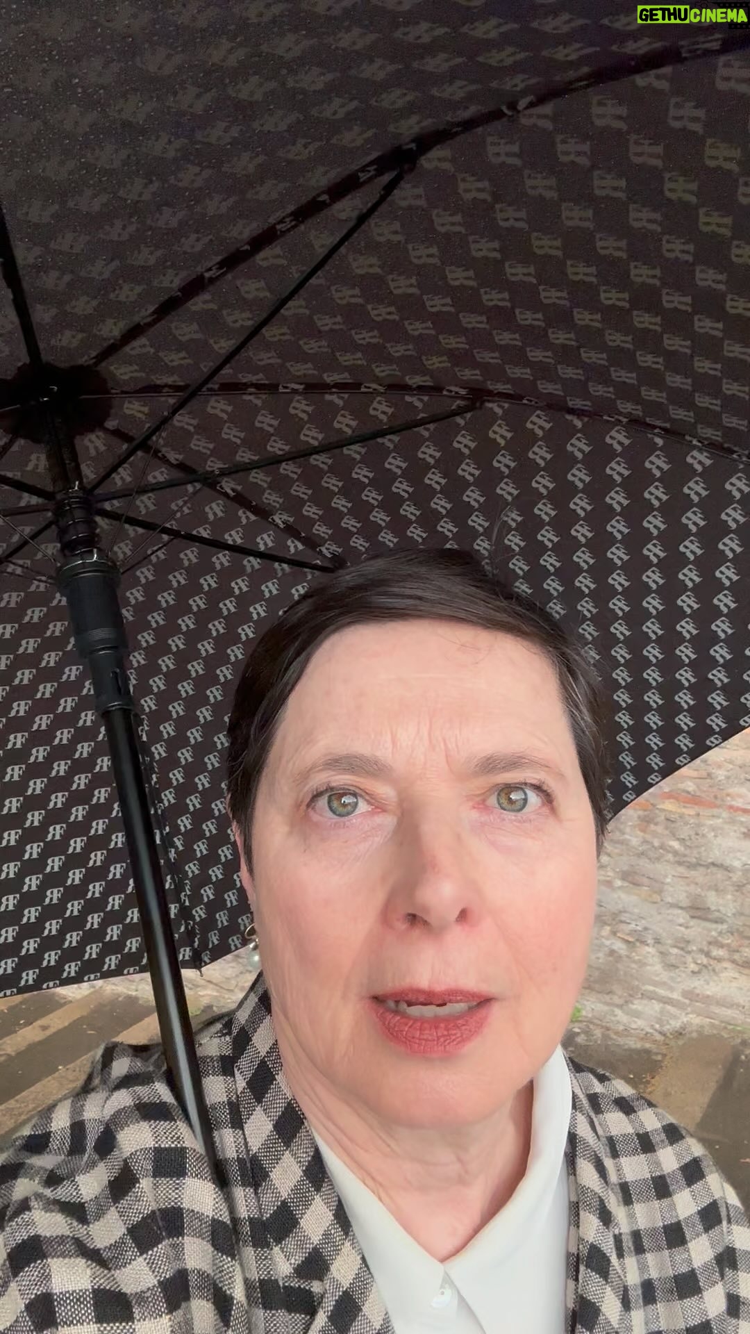 Isabella Rossellini Instagram - Capers grow wild springing out of Rome old walls.