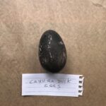 Isabella Rossellini Instagram - The extraordinarily strange eggs of the Cayuga ducks who lay black eggs now but as the season advances the eggs brighten to become white @mamafarm