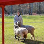 Isabella Rossellini Instagram – I have established the Mama Farm Foundation to open up channels of support for the farm’s financial sustainability for the long term. I am not going to be around forever and so I am planning for the future. I created ponchos made with wool from our endangered sheep at Mama Farm. Each ponchos has a story you can find out on our website @mamafarm . This is the first fundraiser . The money made from these ponchos will support Mama Farm’s operations and mission. Photos @patricecasanova