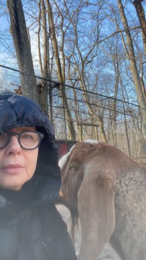 Isabella Rossellini Instagram - Merry Christmas from @mamafarm