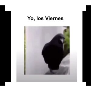 Isabella Santodomingo Instagram - Si me ausento a veces no es porque me de pereza subir cosas a mi IG, ni porque esté demasiado ocupada para hacerlo. Es porque es difícil tratar de subirle el ánimo a los demás cuando el propio está por el piso. Les cuento: Mi segunda cirugía de oído (Canaloplastia) no salió bien y eso me tiene lejos de estar animada y positiva, como siempre. Ya son 5 meses con un dolor intenso que va y viene, con antibióticos y sin poder escuchar bien por mi oído izquierdo. La otra semana tengo cita con un nuevo otólogo y creo que me van a tener que operar otra vez para abrir nuevamente mi conducto auditivo. Todo esto para decirles que aquí sigo, a medias y medio chueca, pero con la esperanza de poder salir de esto tan feo que me ha mantenido aislada, triste y alejada de todo y de todos. Para finalizar, les digo lo más importante de todo: cuiden sus oídos. No se imaginan lo delicados que son, lo que duele una cirugía de éstas y lo que tarda la recuperación. Saludos. ❣️ •• #Isagram